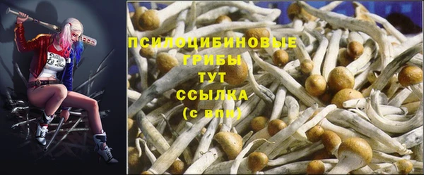 MESCALINE Белоозёрский