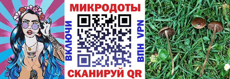 Галлюциногенные грибы GOLDEN TEACHER Купить закладки Гаджиево